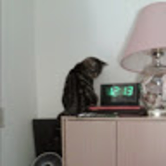 Meet your Posher, Phyllis - Picture 1 of 1